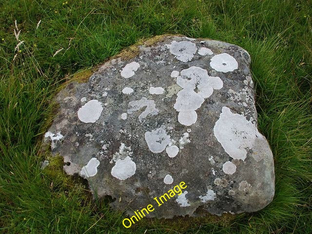 Photo 6x4 Cup-marked stone Ford\/NM8603 Recorded at Canmore ://canmor c2010