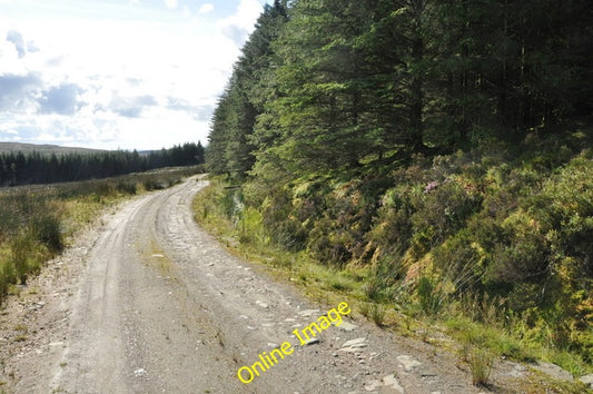 Photo 6x4 Forest road, Cnoc a' Bhraidein, Kintyre Cnoc a'Bhraidein Signs  c2010