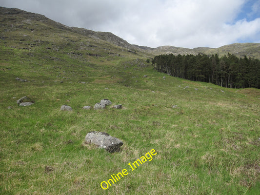 Photo 6x4 Plantation by Glenkinglass Lodge Eas an Eich Bhain Looking up B c2010