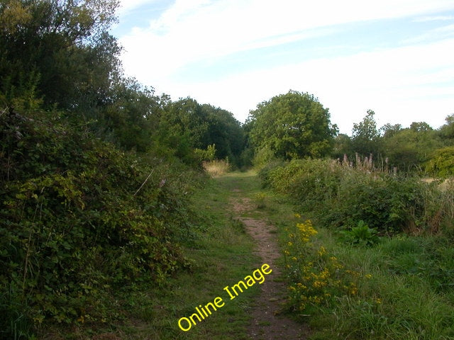 Photo 6x4 Thurlaston-Dismantled Railway Thurlaston\/SP4671 The overgrown  c2010