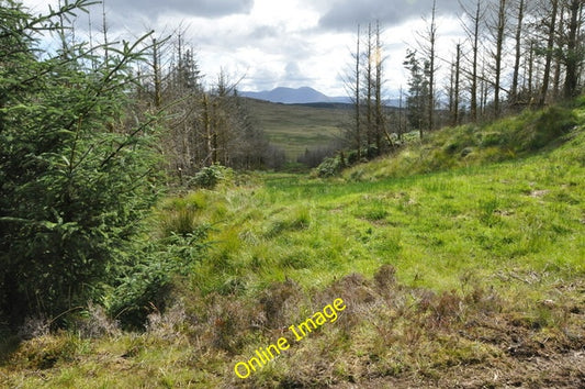 Photo 6x4 Forest fire-break, Kintyre Cnoc Reamhar\/NR7746 Break in forest c2010