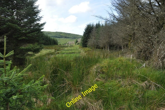 Photo 6x4 Forest fire-break, near Allt Chaltuinn, Kintyre Looking Southwe c2010