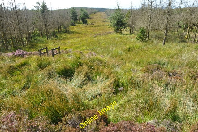 Photo 6x4 Forest fire-break, Kintyre Loch an Fhraoich\/NR7447 A large num c2010