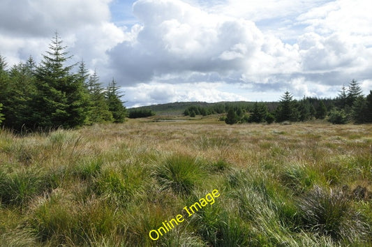 Photo 6x4 Lochan in Forest, Kintyre Loch an Fhraoich\/NR7447 Lochan that  c2010