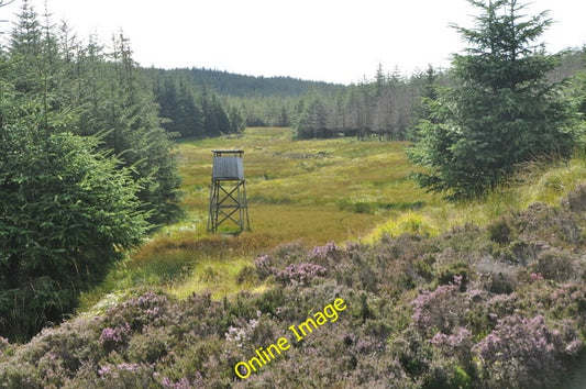 Photo 6x4 Forest fire-break, Kintyre Cnoc Airigh Luachraich Forest fire-b c2010