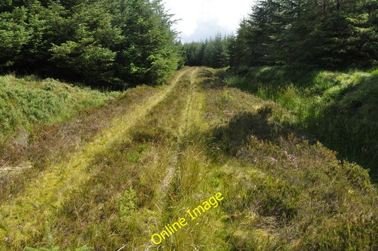 Photo 6x4 Forest track, Kintyre Loch an Fhraoich\/NR7447 Overgrown forest c2010