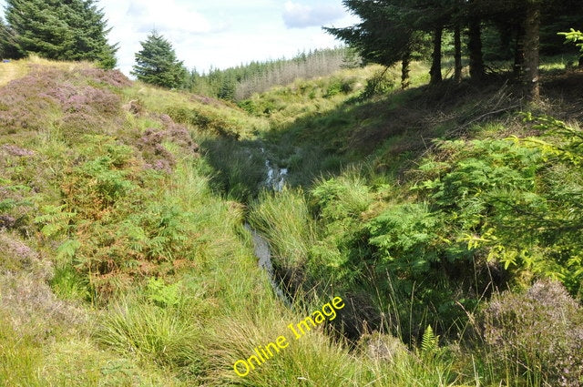 Photo 6x4 Forest stream, Kintyre Narachan Hill The stream heads away to t c2010