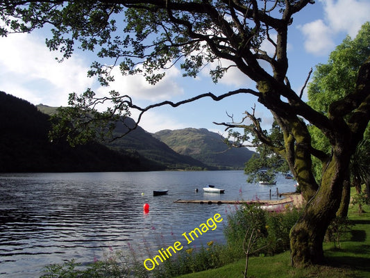 Photo 6x4 Loch Eck, Argyll & Bute Benmore\/NS1385  c2005