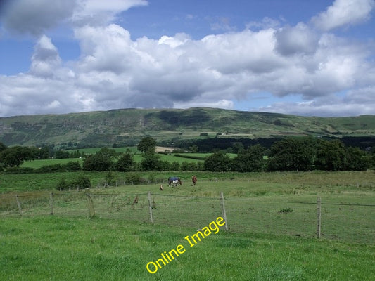 Photo 6x4 Grazing at Redmoss Lennoxtown  c2010