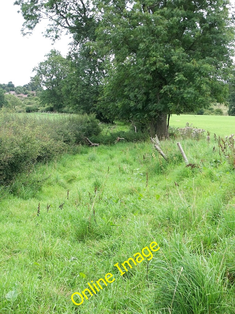 Photo 6x4 Overgrown lane, East Muckcroft Lennoxtown Still shown as a lane c2010