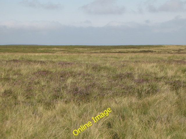 Photo 6x4 Panorama from Green Hill (17: NNE) Byerhope Looking towards [[4 c2010