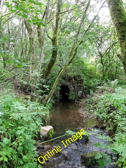 Photo 6x4 Culvert under old railway, Milton of Campsie An unnamed burn fl c2010