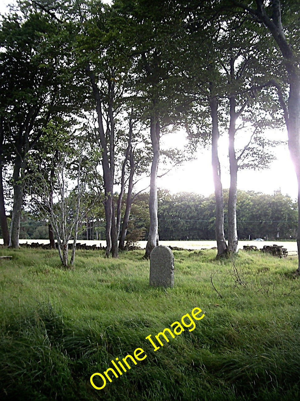 Photo 6x4 Within the oval enclosure of the former Terry Chapel Leochel-Cu c2010