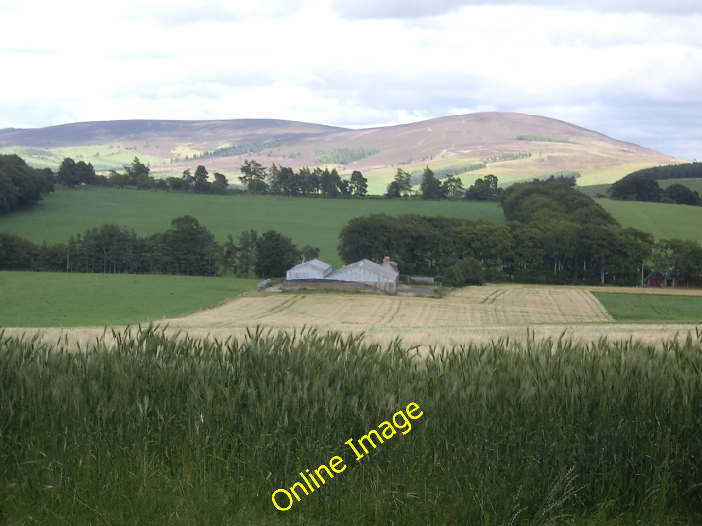 Photo 6x4 View east from Terry Chapel enclosure Leochel-Cushnie Towards B c2010