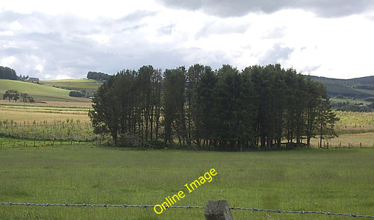 Photo 6x4 A copse by the Rumblie Burn Leochel-Cushnie Seen from the minor c2010