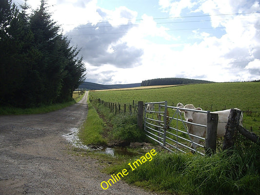 Photo 6x4 Access to Wester Leochel Leochel-Cushnie From near Brigalehouse c2010