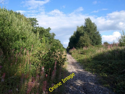 Photo 6x4 Former railway line near Broadheath Woodhouses\/SJ7690 A view a c2010