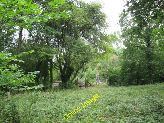 Photo 6x4 Railway crossing East Green\/SU7944 The footpath crosses the ra c2010