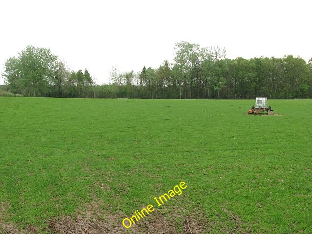 Photo 6x4 Grassland, Little London Bickley\/SO6371 Recently grazed by she c2010