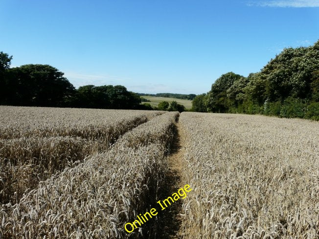 Photo 6x4 Dismantled railway near Guston The line of trees on the right h c2010