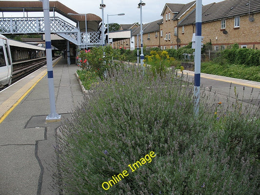 Photo 6x4 Grove Park station: flowerbeds Catford\/TQ3873 There are severa c2010