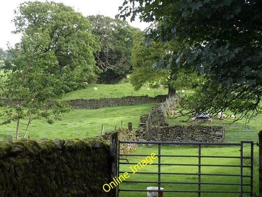 Photo 6x4 Walls and field, Braban House Cowen Head A scene by bridleway 5 c2010