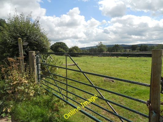 Photo 6x4 Field between lane & railway Walton\/SO4679  c2010