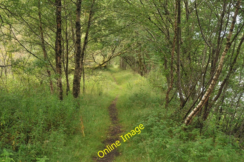 Photo 6x4 Path following the route of the old railway at Loch Dochart Cri c2010