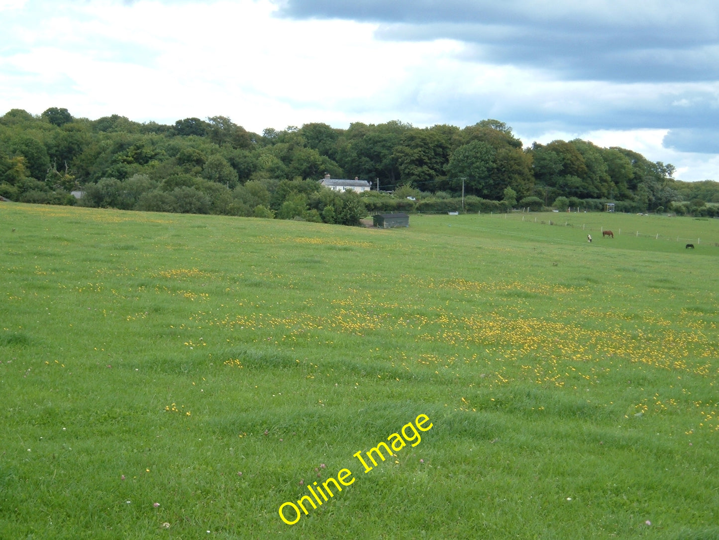 Photo 12x8 Field near Clanfield Chidden Shuttlecock Cottages at the edge o c2010