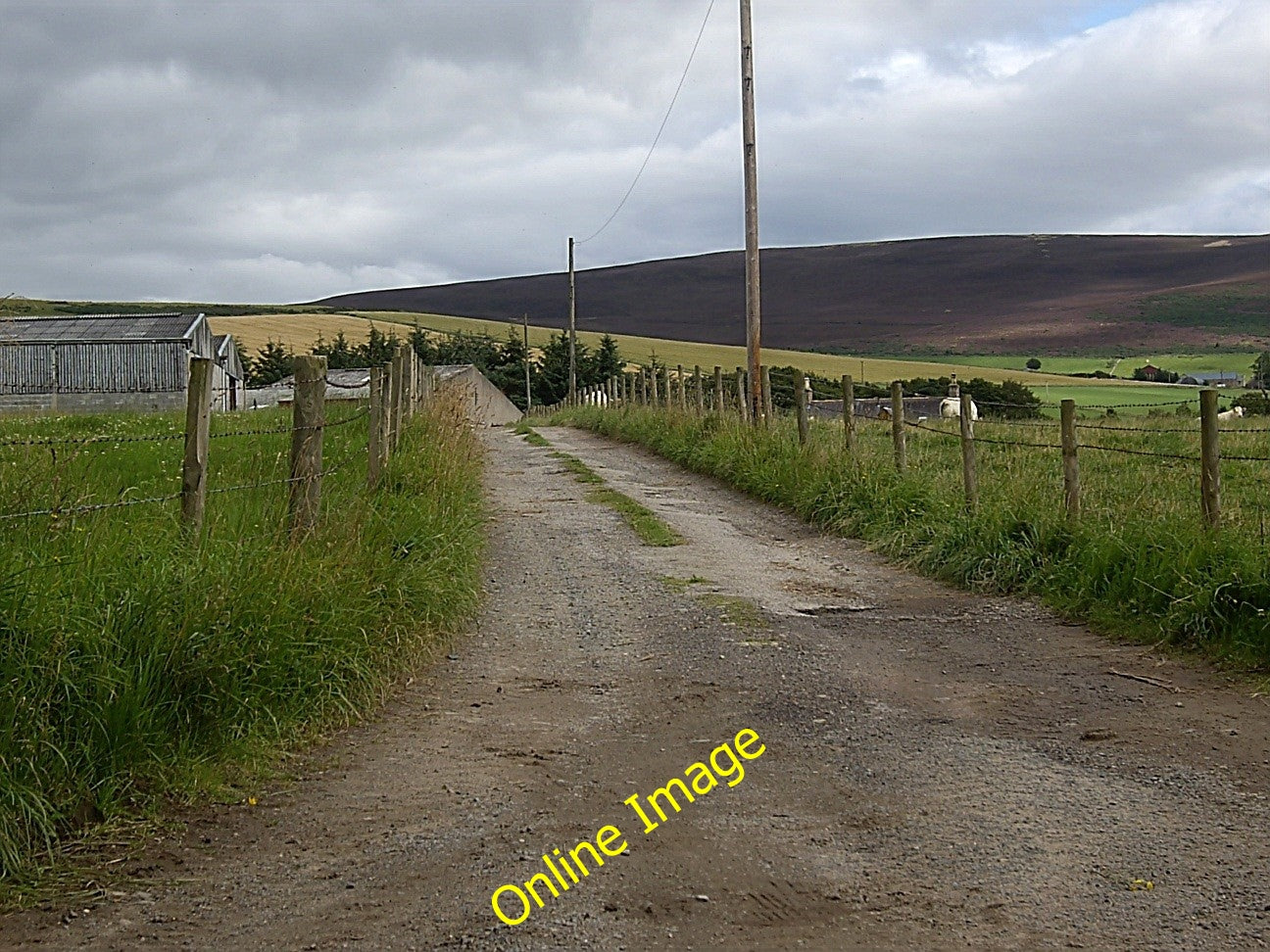 Photo 6x4 Access to Cuttacksnest (August) Lumsden  c2010