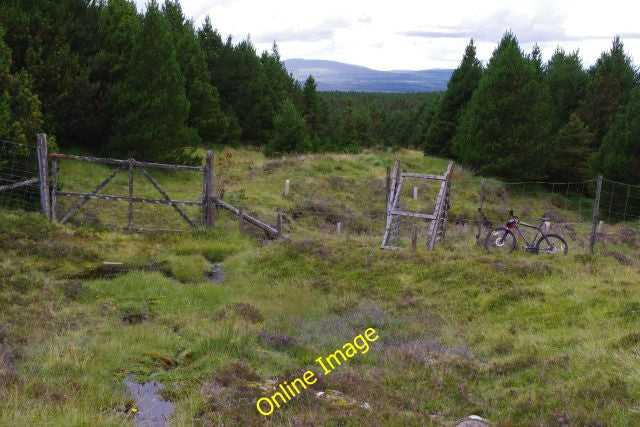 Photo 6x4 Start of the forest section on the Drimnin side of the Teacuis- c2010