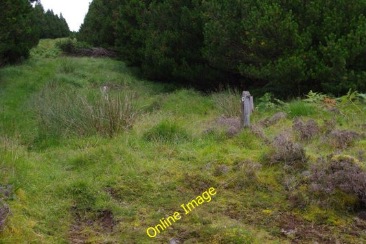 Photo 6x4 The Drimnin-Teacuis cycle track turns off the main forest track c2010