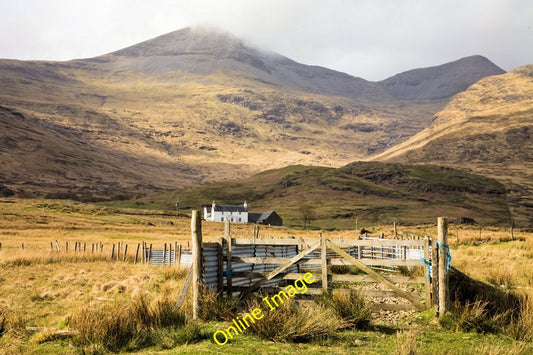 Photo 6x4 Livestock pen near Ardvergnish beneath Ben More Pennyghael Take c2009