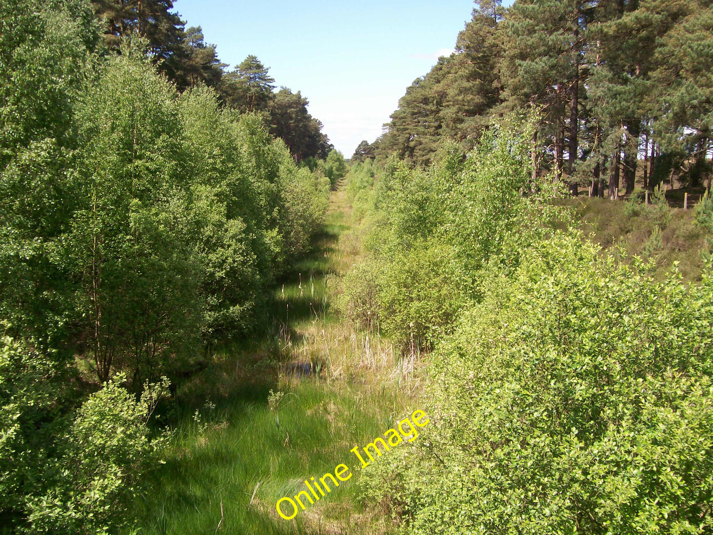 Photo 6x4 Disused railway Burley Beacon  c2009