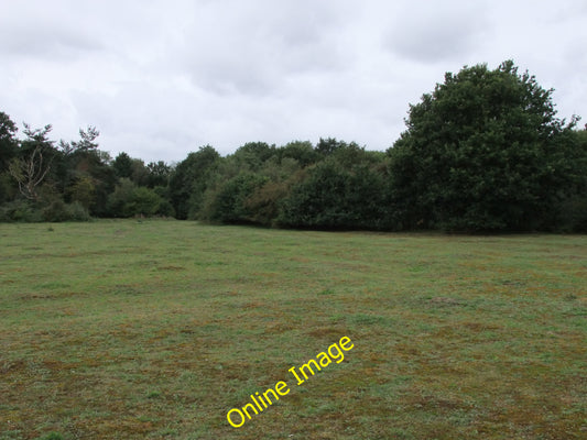 Photo 6x4 Heathland at Fingringhoe Wick Nature Reserve South Green\/TM031 c2010