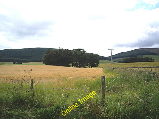 Photo 6x4 View WNW from near Lochans Kildrummy  c2010