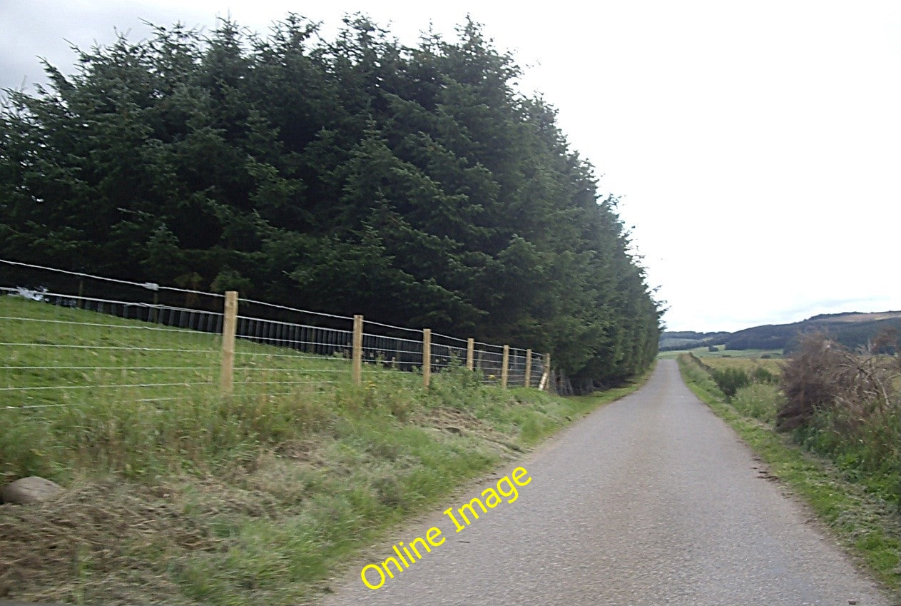 Photo 6x4 Road south from Muirs of Kildrummy With a substantial plantatio c2010