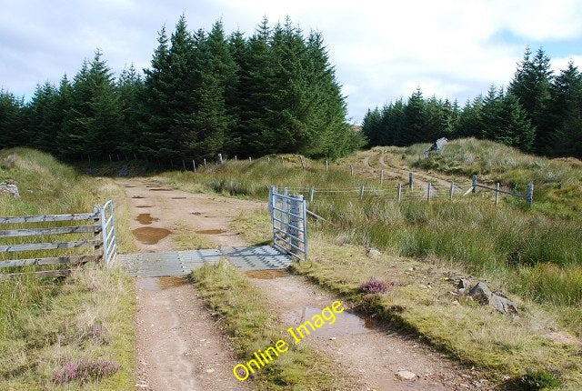 Photo 6x4 Gate, cattlegrid and track junction Ormsary\/NR7472 The track I c2010