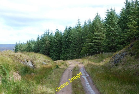 Photo 6x4 Track and forestry Ormsary\/NR7472 A small block of forestry to c2010