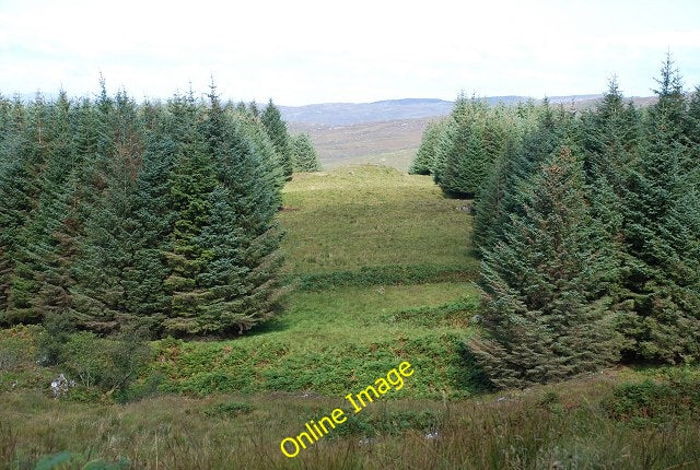 Photo 6x4 Forest ride Ormsary\/NR7472 Looking across the course of the Al c2010