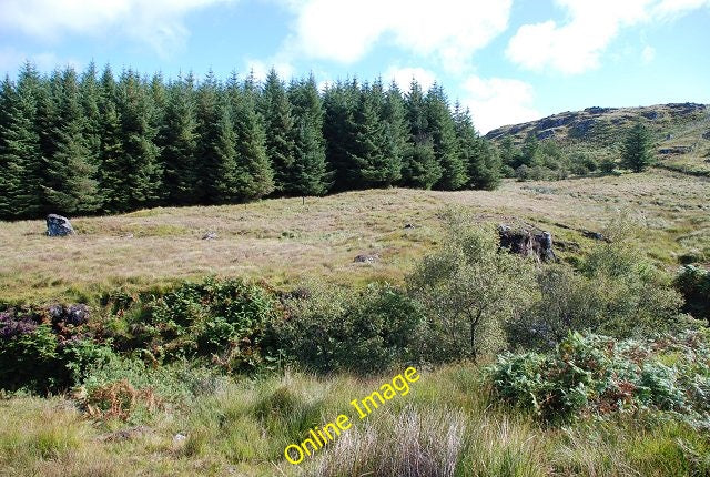 Photo 6x4 Moorland and forest Ormsary\/NR7472 Looking across the course o c2010