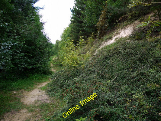 Photo 6x4 Path between the Spechells and the railway, Tyne Riverside Park c2010