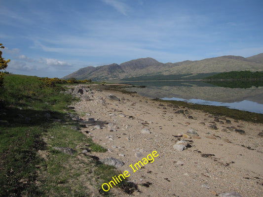 Photo 6x4 Loch Etive shoreline Barrs Looking towards Rubha Àird Rainich. c2010