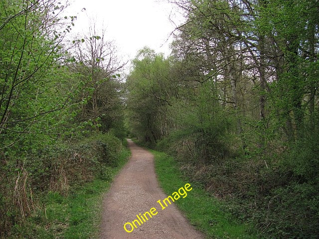 Photo 6x4 Disused railway Ellwood One of the railways which carried coal  c2010