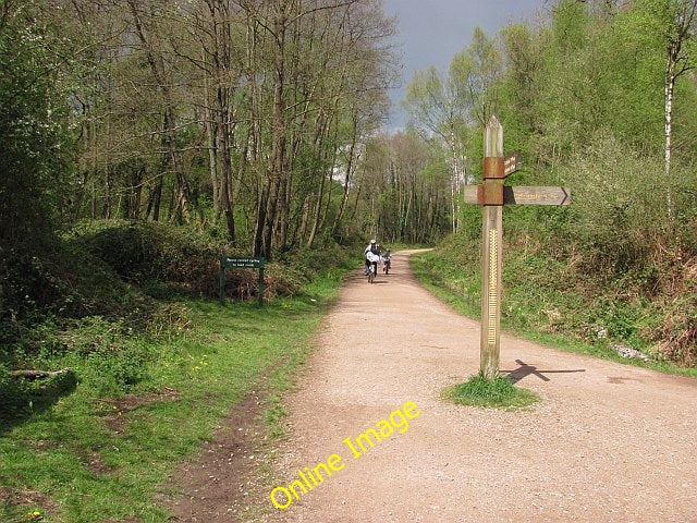 Photo 6x4 Cannop Wharf Disused railway at the site of Cannop Wharf Statio c2010