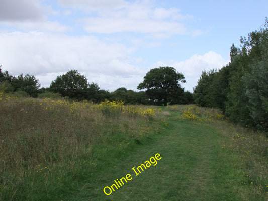 Photo 6x4 Meadow within Great Notley Country Park Bartholomew Green This  c2010