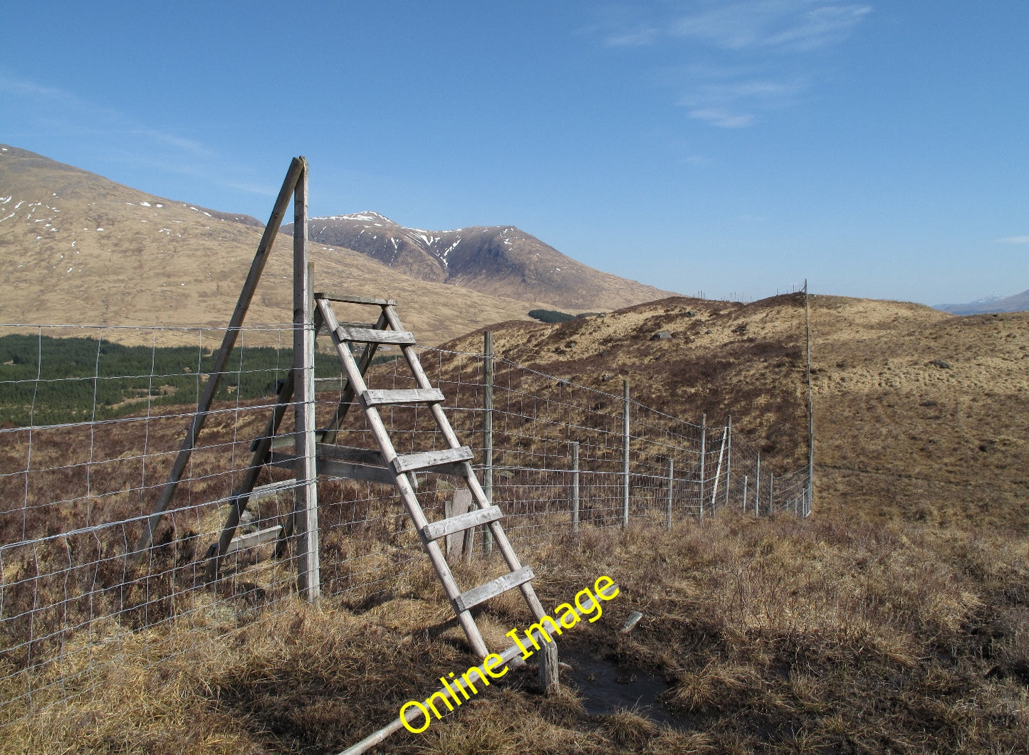 Photo 6x4 Deer Fence With Ladder Stile Allt Suil na Curra This deer fence c2010