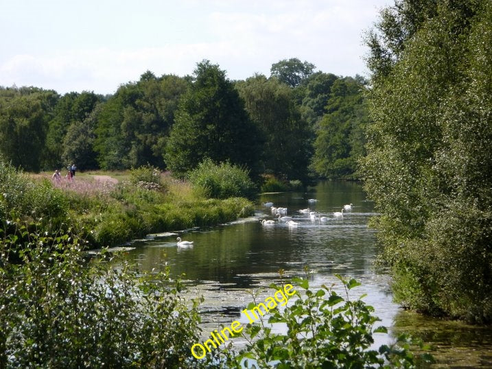 Photo 6x4 By Clumber Lake Carburton Looking west along a little stretch o c2010