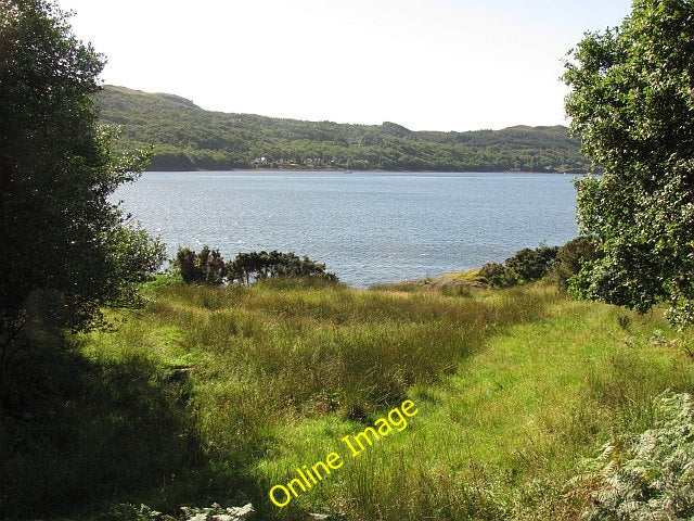 Photo 6x4 Field, Mark Portincaple A rare bit of unforested land beside Lo c2010