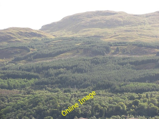 Photo 6x4 Beinn a' Mhanaich Portincaple Forested western slopes of Beinn  c2010